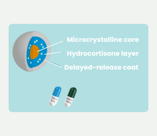Diagram of efmody, showing it's different layers
